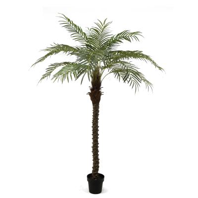 China Quality Environmental Friendly Excellent Touch Real Artificial Plant Simulation Plants 180 Cm 18 Leaf King Palm Tree for sale