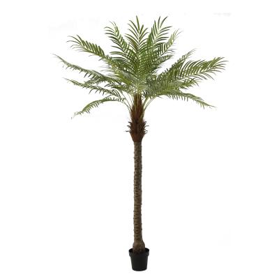 China New Design Excellent Quality Environment Friendly Real Touch Artificial Plant Simulation Plants 230 Cm 21 Leaf King Palm Tree for sale