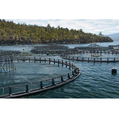 China Fish PE Fish Farming Deep Water Plastic Floating Net Cage for sale