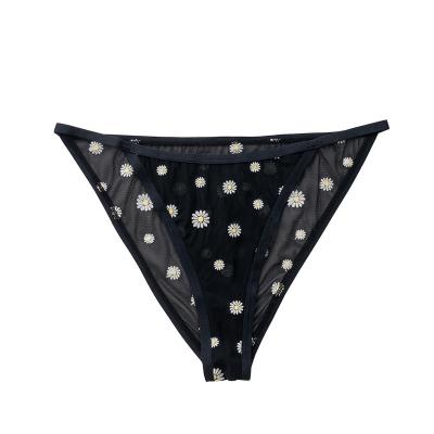 China Anti-Bacterial Hot New Arrival Low Rise Sexy Mesh Panties for Women Pink Sex Black Plain Quantity Embroidery recycle nylon for sale