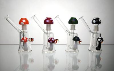 China Oil rigs glass water bongs mini dab rigs with mushroom dome glass nail 14mm joint 5 inches for sale