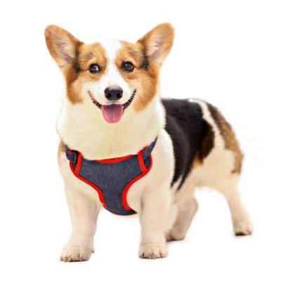 China Made Excellent Quality Thoughtful Competitive Price High Quality Tailor Dog Harness for sale