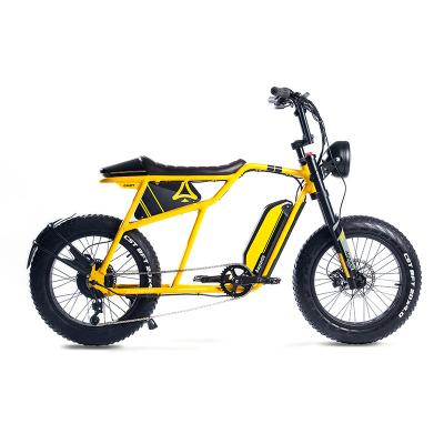 China Best Aluminum Alloy Electric Bicycle With 20Ah Battery Long Range Dismountable Electric Bike for sale