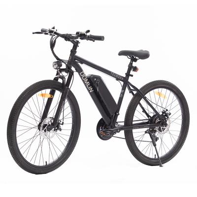 China Steel Suspension Disc Brake Enduro Popular Electric Bike 250W Electric City Bike for sale