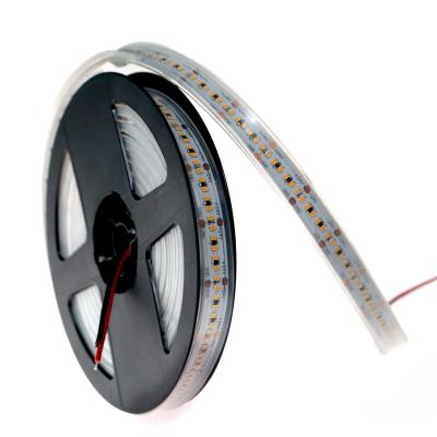 China Commercial Led CP 90 DC24V SMD 2216 18W LED Strip Lights 300LEDs/m Dotless LED Strip Light for sale