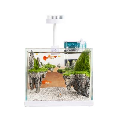 China Viable small desktop aquarium, small desktop aquarium, small glass aquarium for sale