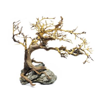 China Sustainable Aquarium Fish Tank Landscaping Thai Decoration Driftwood Branches for sale