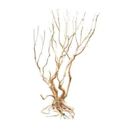 China Sustainable Aquarium Landscaping Decoration Driftwood Rhododendron Tree for sale