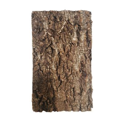 China Sustainable Aquarium Fish Tank Landscaping Decoration Driftwood Champagne Bark for sale