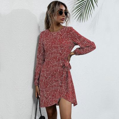 China Low MOQ Anti-wrinkle Wholesale Dress Printed Casual Long Sleeve Dress Women Fall Dress for sale