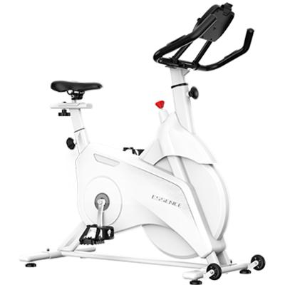 China Good Quality SD-S502 Universal Gym Equipment Exercise Magnetic Rotating Bike Fitness For Sale for sale