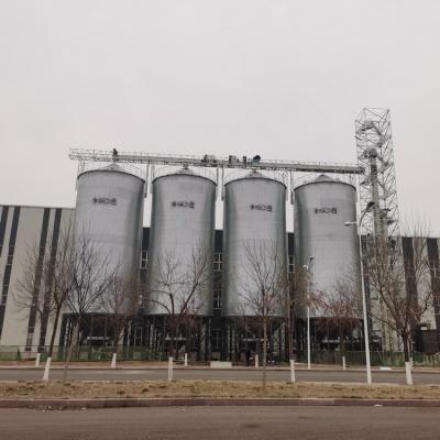 China 2021 hot galvanized steel bolted hopper maize silos 500 ton for sale