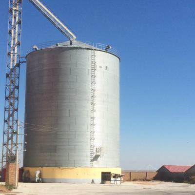 China Factory price flat bottom steel grain silo for sale for sale