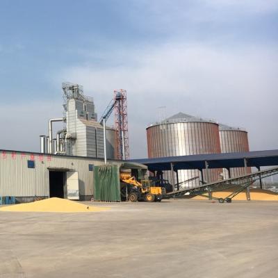 China 2020 China 2000-10000 ton flat bottom grain corn seed steel silo price for sale