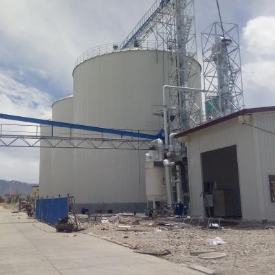 China Steel 10000ton Wheat Storage Grain Silo Cost Price for sale