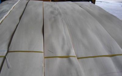 China Sliced Cut Natural Burma/Myanmar White Birch Wood Veneer Sheet for sale