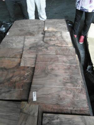 China Natural American Walnut Burl Wood Veneer Sheet For Furniture for sale