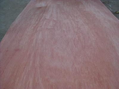 China Rotary Cut Natural Bintangor Wood Veneer Sheet for sale