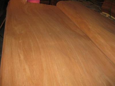 China Rotary Cut Natural Red Canarium Wood Veneer Sheet for sale