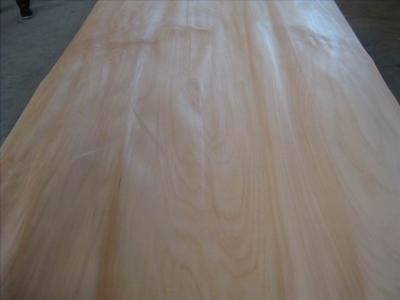 China 1220 x 2440mm Agathis Wood Veneer Sheet for sale