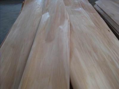 China Rotary Cut Natural Agathis Wood Veneer Sheet for sale