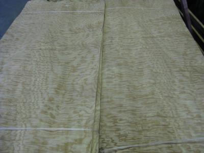 China Sliced Cut Natural Tamo Ash / Burl Wood Veneer Sheet for sale