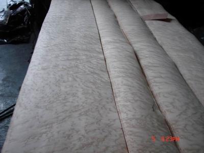 China Birds Eye Maple Veneer Grey Color , 1000mm - 3300mm x 100mm for sale