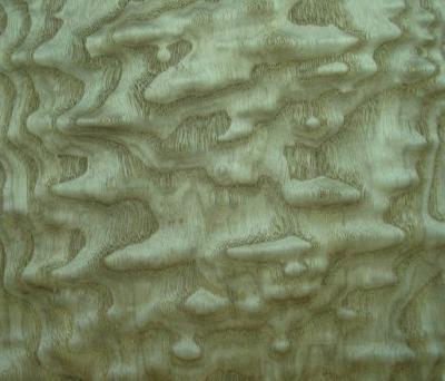 China Natural Ash Burl Wood Veneer Sheet Sliced Cut As Block Board Or Door for sale