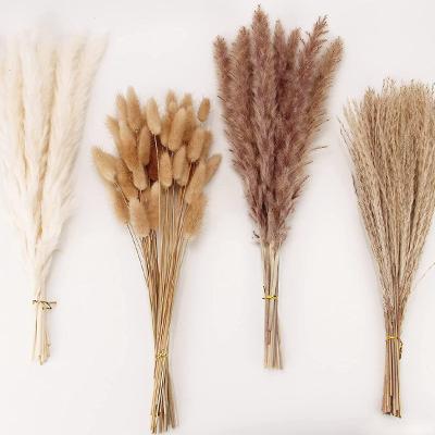 China Wedding Party Event Decoration Factory Price Natural Dried Flowers Pampas Grass Home Dried Flower Bouquet for sale