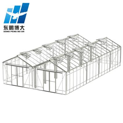 China Stable Structure Indoor Multi Span Greenhouse for sale