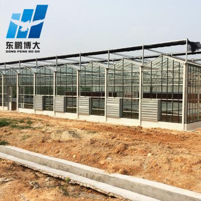 China Stable Structure Tropical Solar Hydroponic Greenhouse for sale