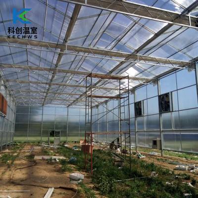 China New Eco Friendly High Quality Production Multi-span PC Sheet Board Greenhouse For Vegetable for sale