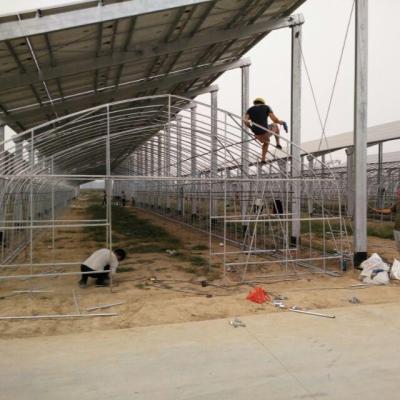 China Sunlight Steel Frame Eco Friendly Wholesale Installed High Temperature Greenhouse for sale