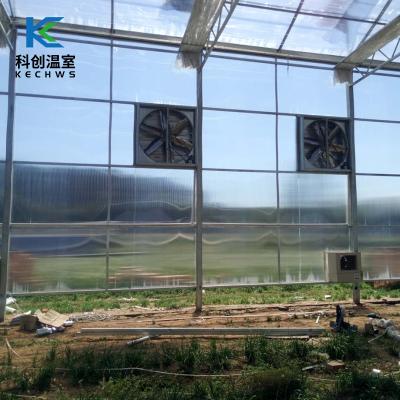 China Wholesale Eco Friendly Easy To Use Full Span Used Commercial Sun Panel Garden Greenhouse for sale