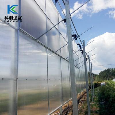 China Eco Friendly China Manufacturer New Product Multi Span PC Solar Greenhouse For Agricultural for sale