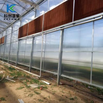 China Best Price Eco Friendly Customized Multi Span Film Tunnel Sunlight Shed Greenhouse PC Solar Panel Greenhouse for sale