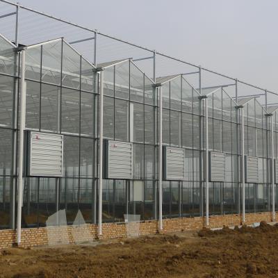 China Eco Friendly Hydroponic Wholesale Price Custom For Plant Energy Saving Solar Glass Greenhouse for sale