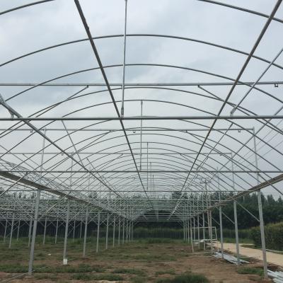 China Eco Friendly Wholesale Hot Selling Agricultural Vegetables Film Multi-span Commercial Green House for sale