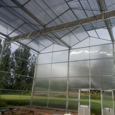 China Eco-Friendly Wholesale High Quality PC Sun Panel Sun Multi-span Smart Greenhouse for sale