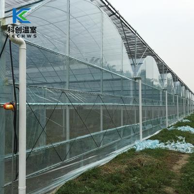 China Greenhouse Eco Friendly Hydroponic Growing Strawberry Multi-span Plastic Sheet Agricultural Greenhouse for sale