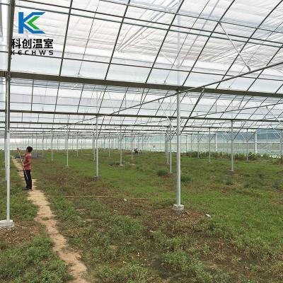 China Eco Friendly Hot Agricultural Greenhouse Film Multi-span Solar Sunlight Equipment Sale Greenhouse With Solar for sale