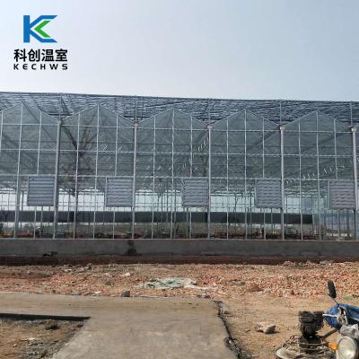 China Eco Friendly Aluminum Frame Commercial Garden Low Cost Sale Metal Glass Greenhouses for sale