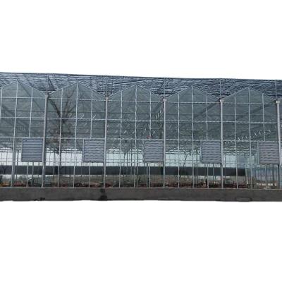 China PE Multi-spans Greenhouse Glass Fiberglass Agricultural Greenhouse Covering Passive Solar Greenhouse for sale