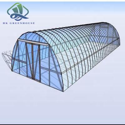 China PE Agriculture Tunnel Film Greenhouse Fiberglass Greenhouse Covering Commercial Greenhouse Cost for sale