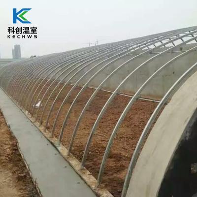 China Best Selling High Quality Eco-Friendly Vegetable Plastic Sheet Commercial Greenhouse for sale