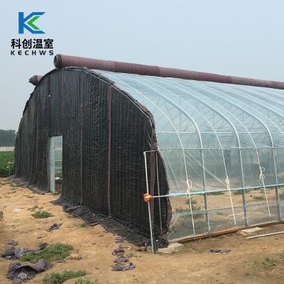 China Eco Friendly Agriculture Multi-span Arch Plastic Sheet Greenhouse Tomato Greenhouse and Strawberry Greenhouse for sale