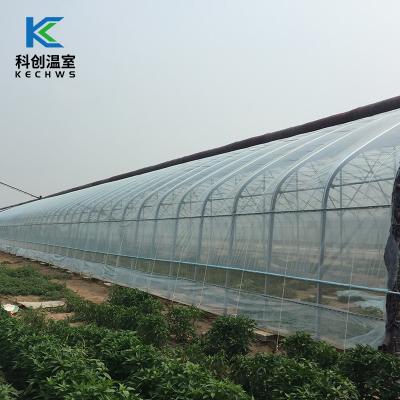 China China Factory Best Price Eco Friendly Agricultural Greenhouse Plastic Sheet Film Tunnel Greenhouse for sale