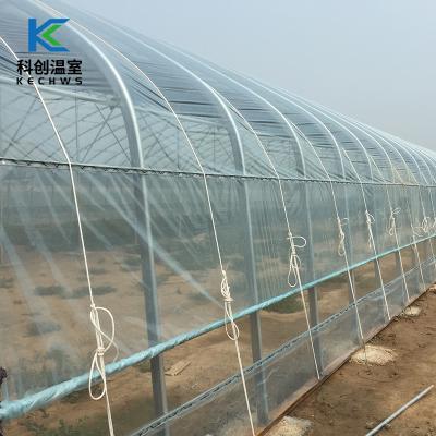 China China Eco Friendly Agricultural Plastic Greenhouse Manufacturer Cast Portable Film Greenhouse Tunnel For Tomato for sale