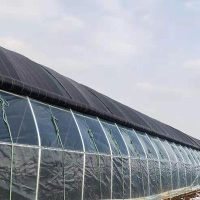 China Wholesale Hydroponic Eco Friendly OEM For Plant Energy Saving Solar Greenhouse for sale