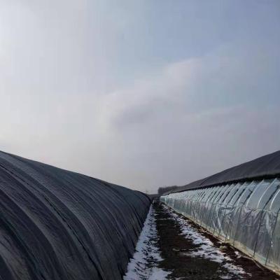 China Eco Friendly Chinese Manufacturer Energy-Saving Solar Multispan Greenhouse for sale